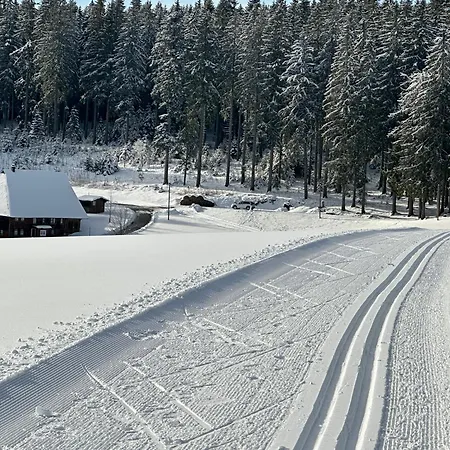 Apartamento Haus - Sonneck