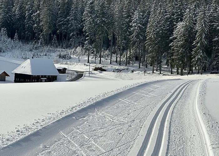 Apartamento Haus - Sonneck