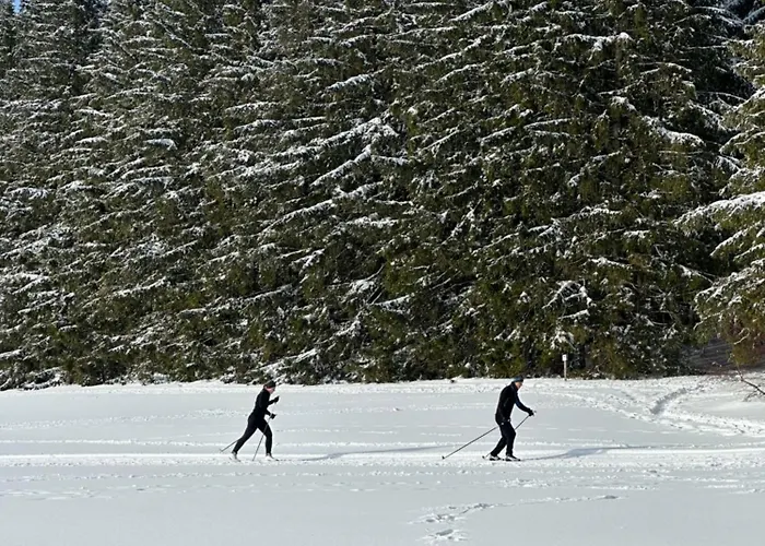 Haus - Sonneck * Schönwalde